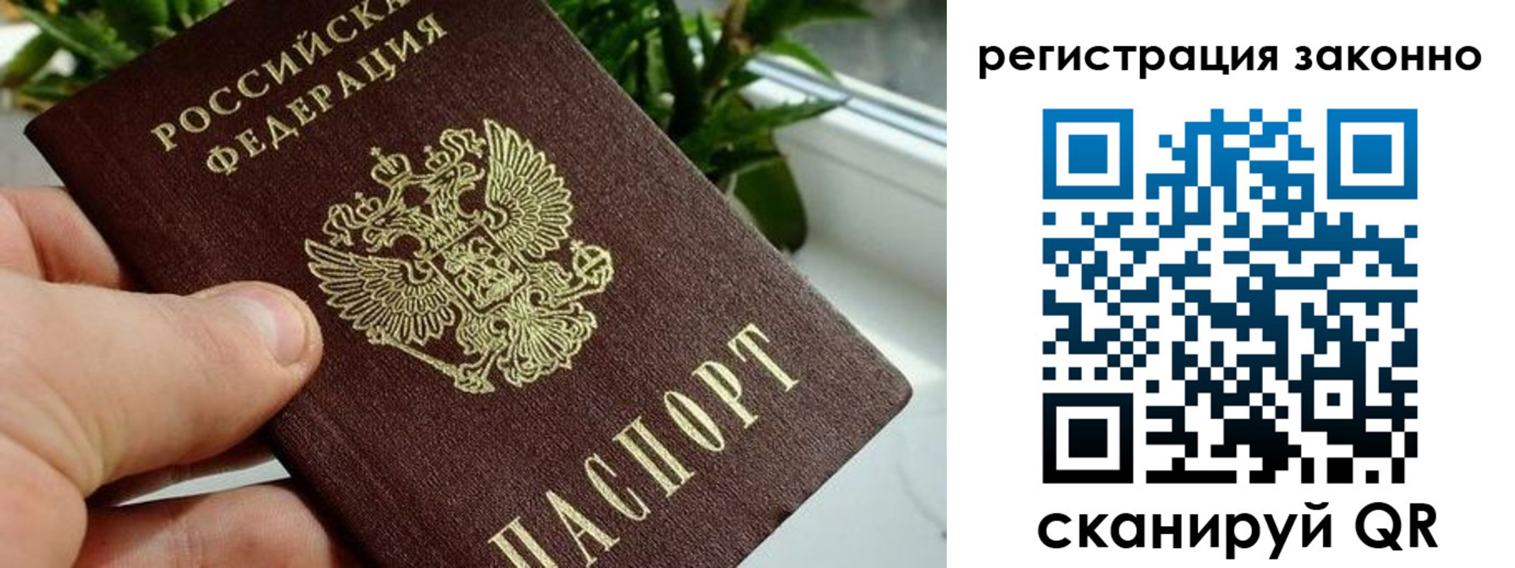 прописка гарантия в Ленинградской области